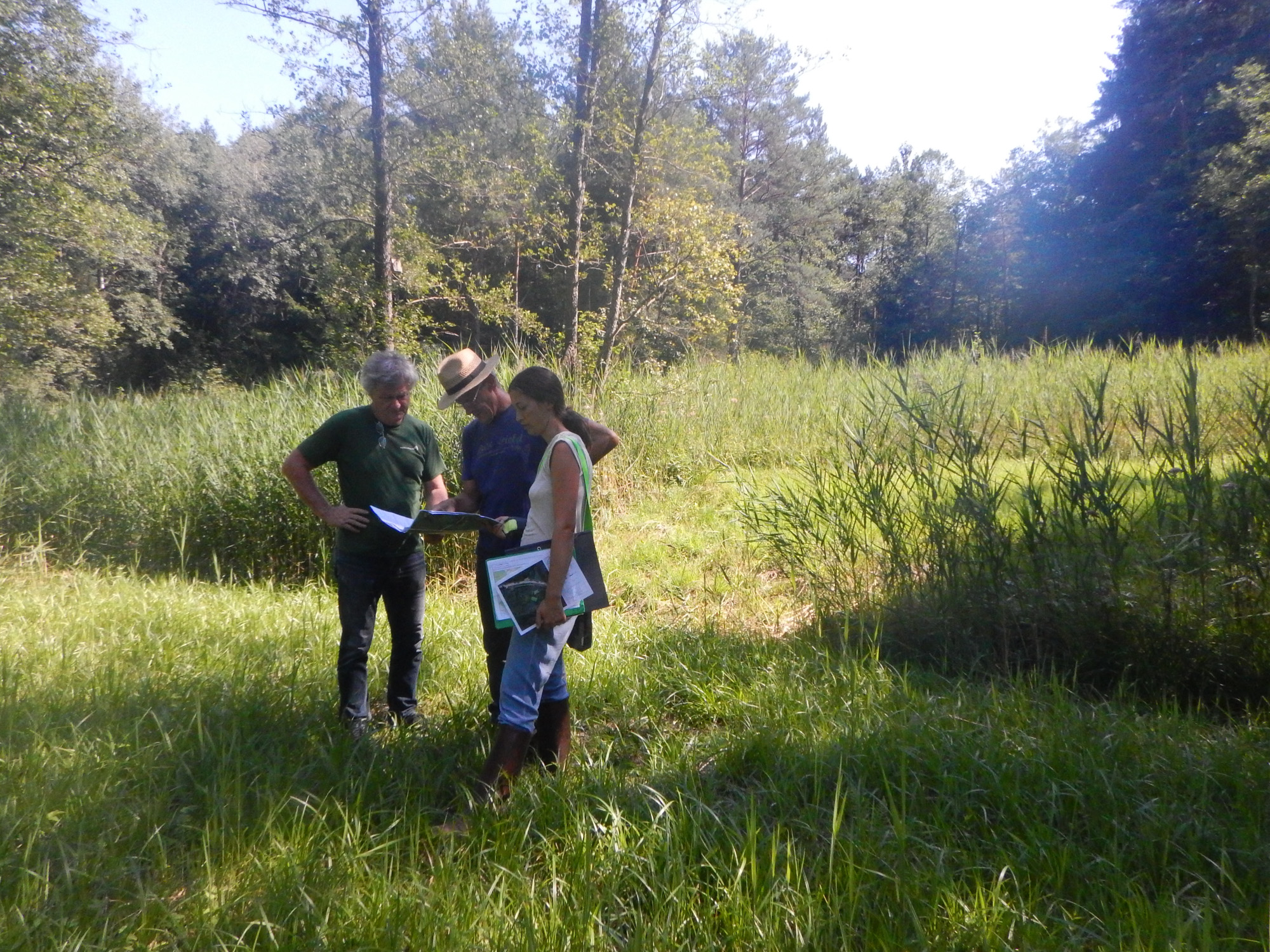 FFHGebiete lpvrottalinn.de